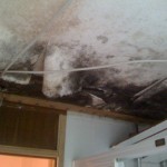 Verschimmelte Unterkonstruktion durch undichte Dachgaube Solingen